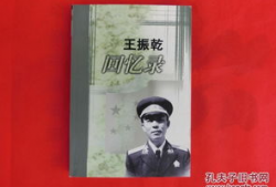 王振乾,探索创新与变革的领军人物
