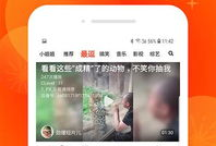 天天在线观看视频,精彩视频内容概览