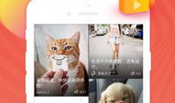 爱  视频,探索爱视视频的魅力世界