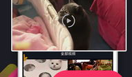 草莓小视频,甜蜜瞬间，尽享美味时光